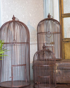 Bird Cage Collection